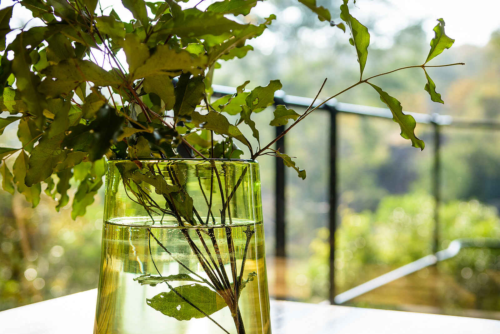 Singita Sweni Lodge: Blumenvase Singita Sweni Lodge: Blumenvase