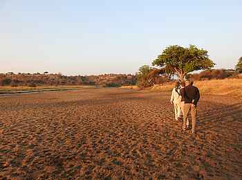 Tarangire Safari Lodge: Walking Safari Tarangire Safari Lodge: Walking Safari