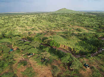 Wayo Banagi Green Camp: Elefant Wayo Banagi Green Camp: Elefant