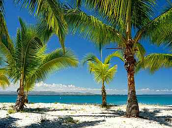 Time + Tide Miavana: Palmen am Strand