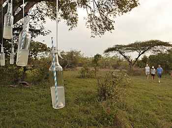 &Beyond Kirkman's Camp: Drinkstop während einer Wanderung &Beyond Kirkman's Camp: Drinkstop während einer Wanderung