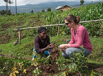 Bisate Lodge: Der Gast bekommt Produkte des eigenen Beets erklärt Bisate Lodge: Der Gast bekommt Produkte des eigenen Beets erklärt