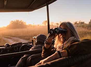 Chitabe Lediba Camp: Beobachtung