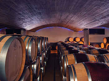 Delaire Graff Estate: Der Weinkeller Delaire Graff Estate: Der Weinkeller