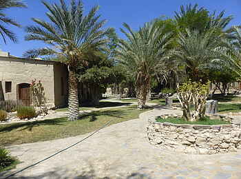 Fort Sesfontein: Im Innenhof spenden viele Palmen Schatten