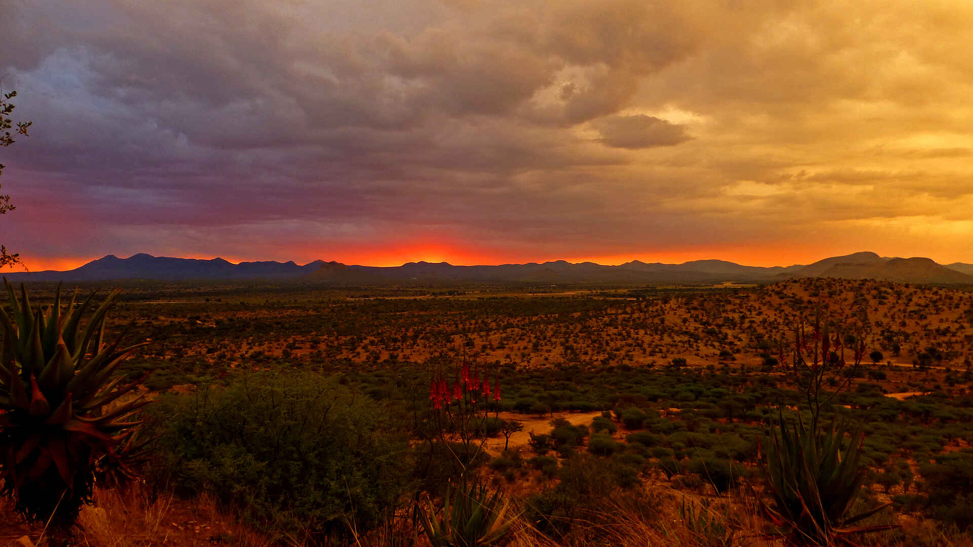 GocheGanas, GocheGanas Naturreservat, Namibia, Resort, Windhoek, Windhuk, Dämmerung, Himmel, Nachthimmel, Natur, Stimmung, Afrikarma, Afrikarma Safaris, Afrikarma Safaris - Wildnis. Hautnah., Afrikarma.de