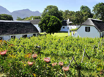 Grande Roche Hotel: Die Terrace Suiten und ihre Aussicht