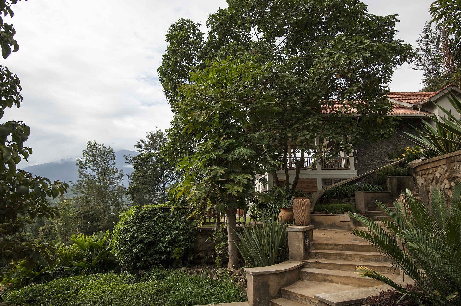 Machweo Wellness Retreat: Treppe zu den Cottage-Suiten machweo wellness retreat, arusha, arusha nationalpark, axel janssens, janssens, cottage suite, treppen, afrikarma, afrikarma safaris, afrikarma safaris - wildnis. hautnah., afrikarma.de