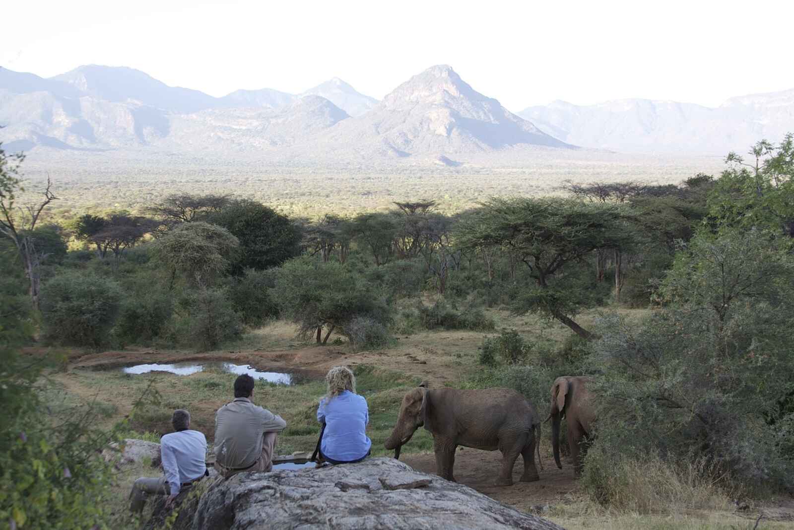 Sarara Camp: Ausblick auf ein Wasserloch Sarara Camp: Ausblick auf ein Wasserloch