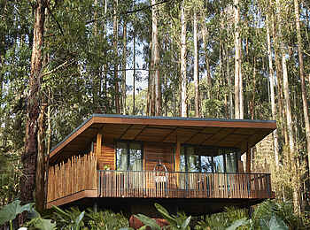 One and Only Gorilla's Nest: Ansicht einer Suite One and Only Gorilla's Nest: Ansicht einer Suite