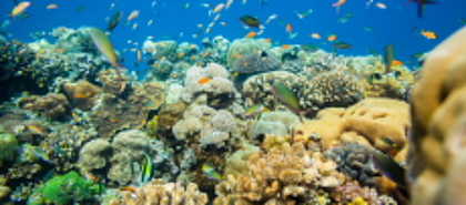 Pemba Island