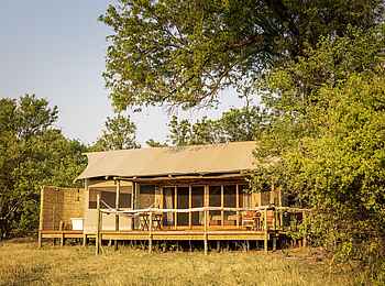 Amber River Camp: Blick auf ein Gästezelt Amber River Camp: Blick auf ein Gästezelt