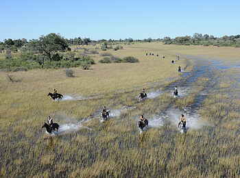 Macatoo Camp: Ausritt durch überflutete Graslandschaft