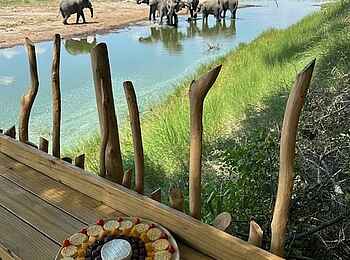 Moela Safari Lodge: Blick von der Terrasse