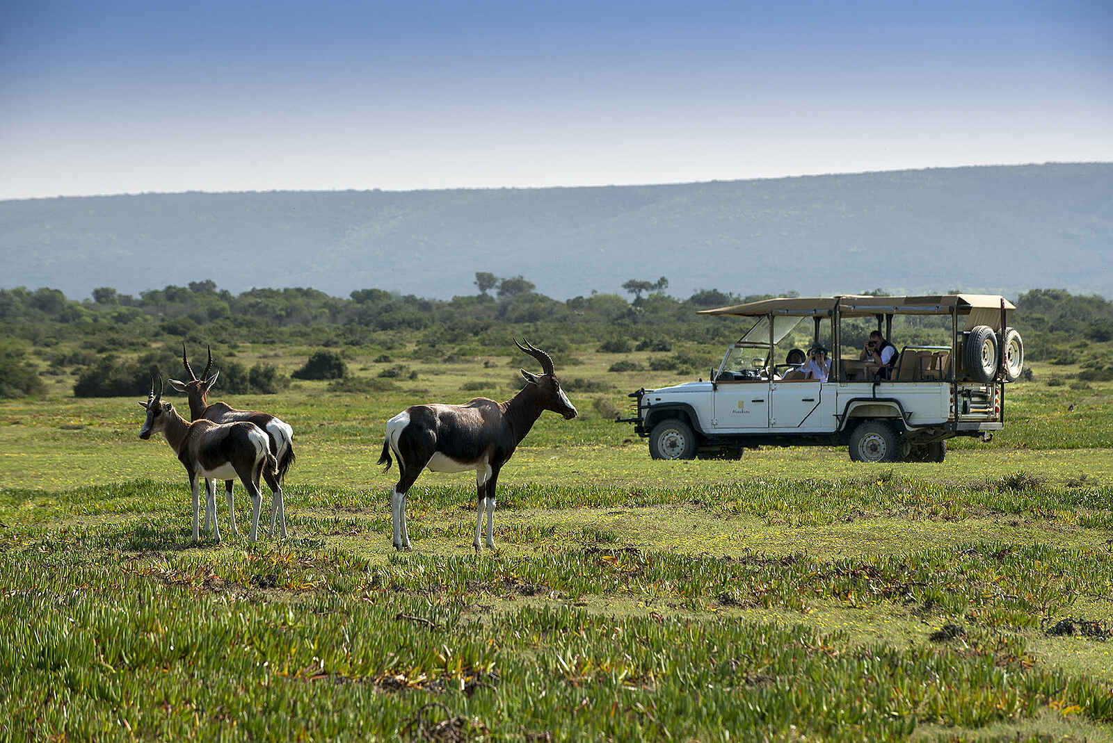 Morukuru Beach Lodge: Eine Jeepsafari Morukuru Beach Lodge: Eine Jeepsafari