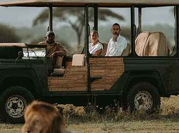 Out of Africa Legend: Begegnung mit einem Löwen bei einer Pirschfahrt Out of Africa Legend: Begegnung mit einem Löwen bei einer Pirschfahrt