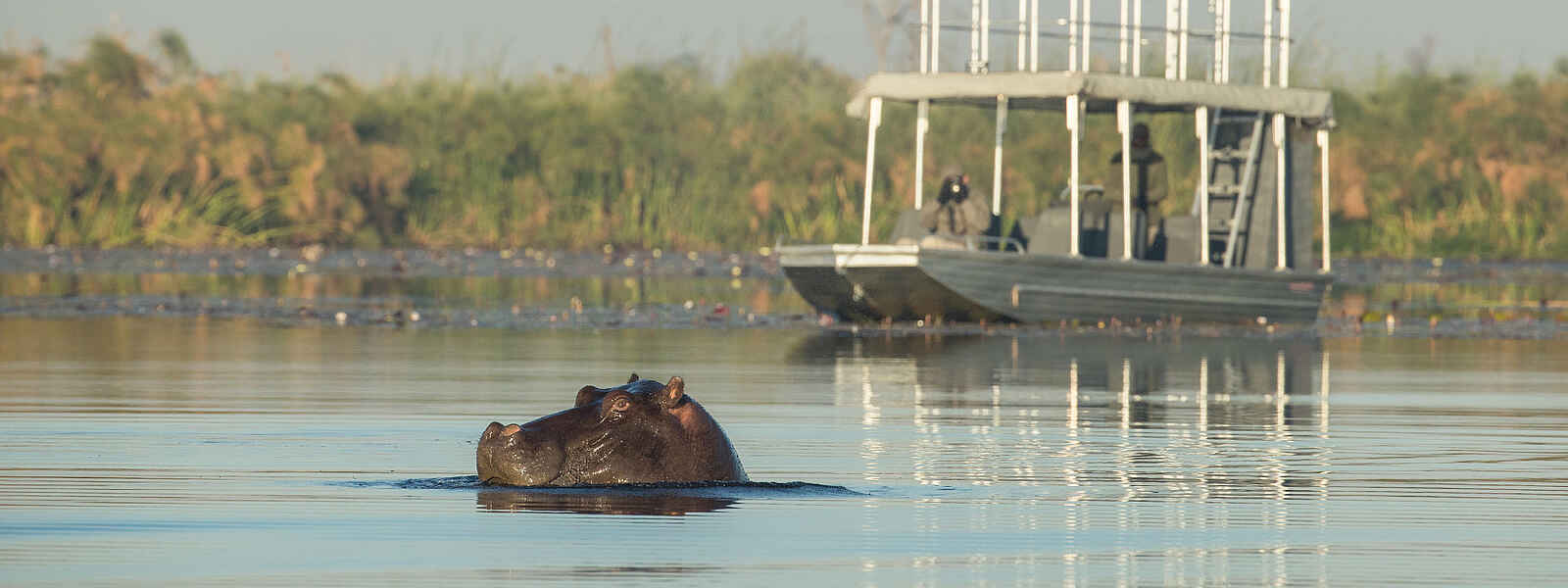 Setari Camp: Bootstour mit Flusspferdbegegnung Setari Camp: Bootstour mit Flusspferdbegegnung