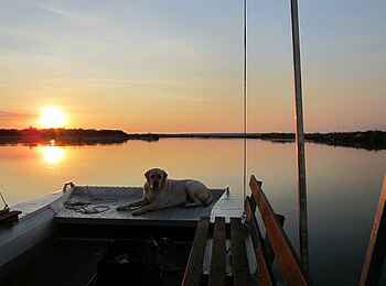 Taranga Safari Lodge: Faszination Okavango River