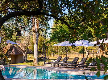 Inyati Game Lodge: Der Pool mit Liegen
