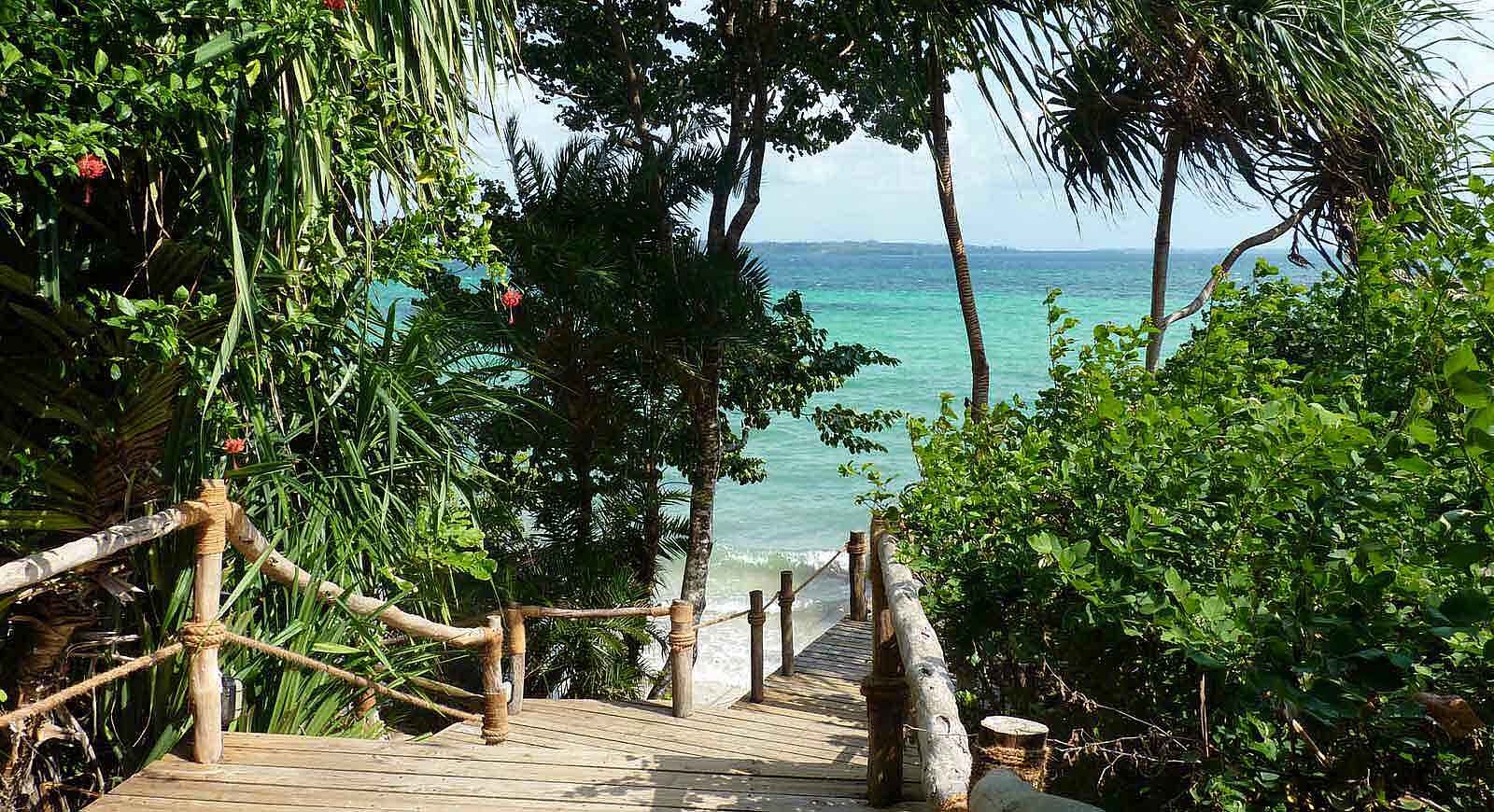 Fundu Lagoon: Weg zum Strand Fundu Lagoon: Weg zum Strand