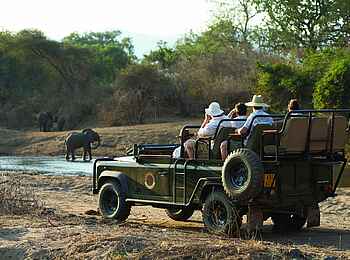 Royal Zambezi Lodge: Game Drive