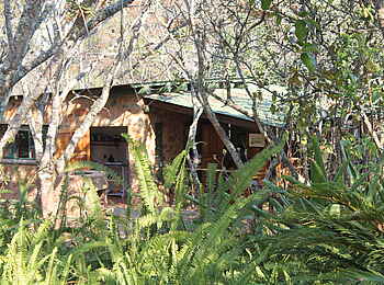 Frog and Fern Cottages: Mzanje Cabin - Garten Frog and Fern Cottages: Mzanje Cabin - Garten