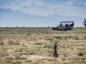Legendary Mila Tented Camp: Tierbeobachtung