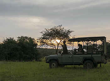 Mihingo Lodge: Game Drive Abendstimmung Mihingo Lodge: Game Drive Abendstimmung