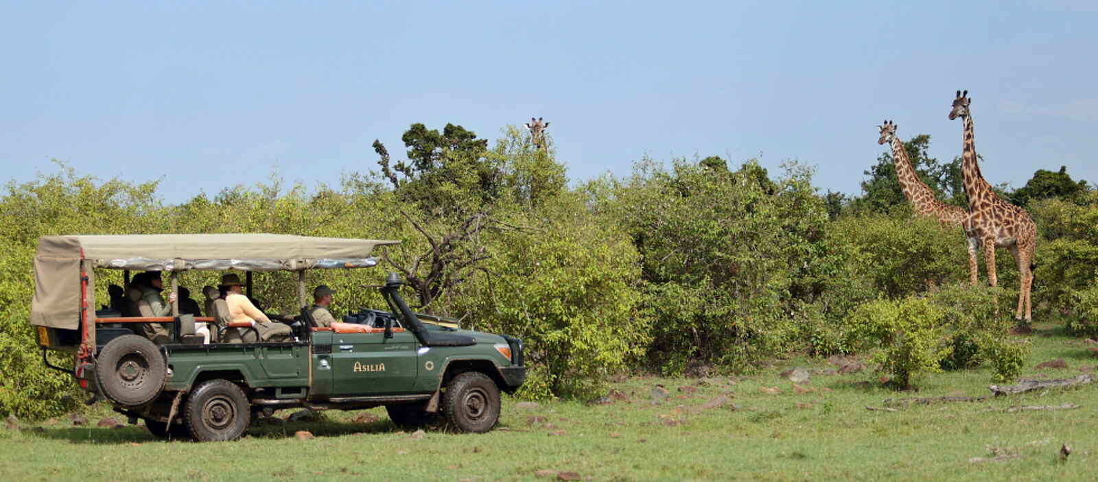 Naboisho Camp: Mit dem Geländefahrzeug unterwegs Naboisho Camp: Mit dem Geländefahrzeug unterwegs
