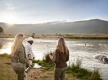 Sanctuary Ngorongoro Crater Camp: Nilpferde