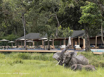 Wilderness Mara Camp: Elefanten vor Gemeinschaftsbereich