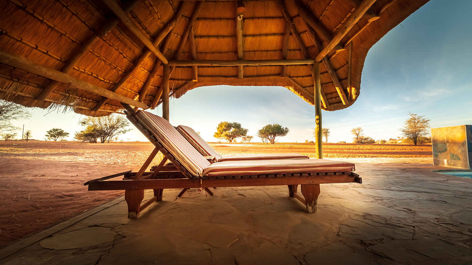 Bagatelle Kalahari Game Ranch: Sonnenliegen