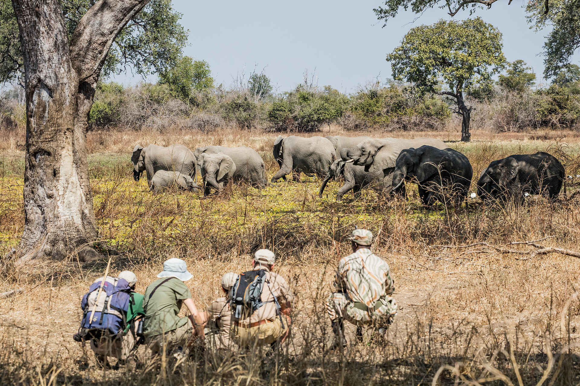 Big Lagoon Camp: Walking Safari
