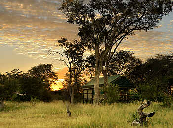 Bomani Tented Lodge: Umgebung der Zelte
