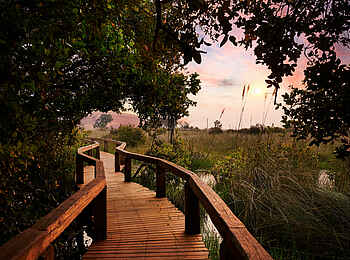 Camp Okavango: Walkways Camp Okavango: Walkways