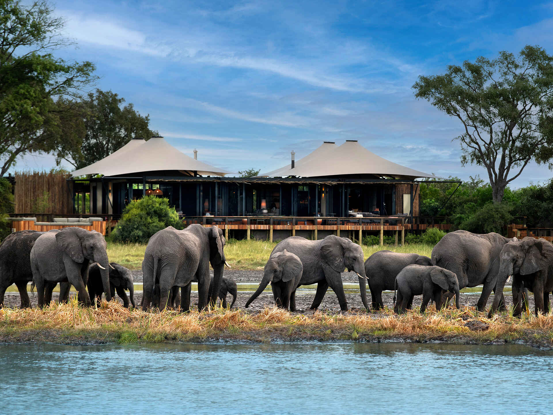 Daunara Safari Camp: Elefanten vor dem Camp Daunara Safari Camp: Elefanten vor dem Camp