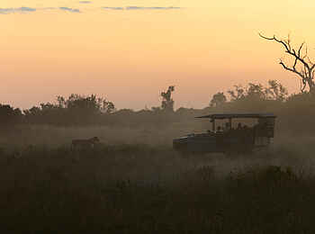 Little Mombo Camp: Dämmerung