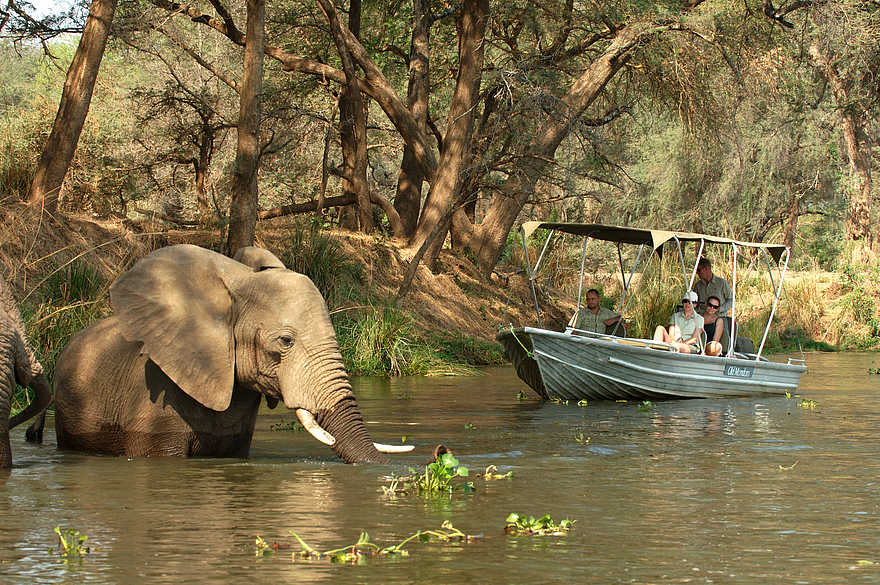Old Mondoro Camp: Elefant in einem Seitenarm des Sambesi Old Mondoro Camp: Elefant in einem Seitenarm des Sambesi