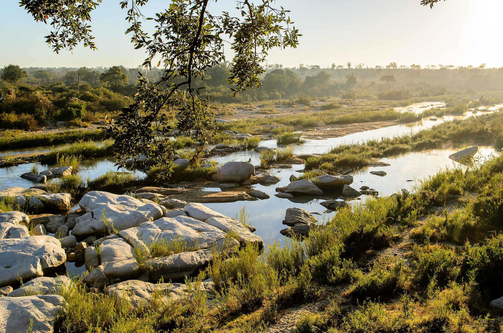 Singita Boulders Lodge: Wasserstelle