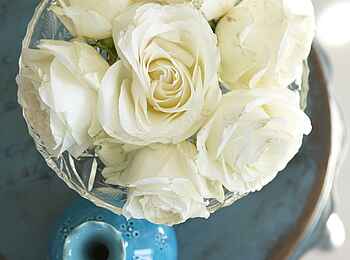 The Olive Exclusive: Benguela - Rosen