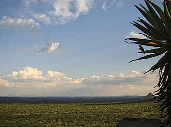 Vingerklip Lodge: Blick auf das Tal und den Horizont