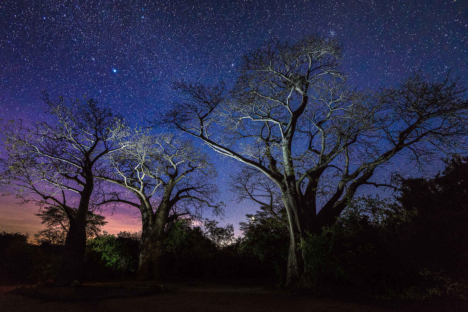 Kuthengo Camp: Sterne über dem Camp Kuthengo Camp: Sterne über dem Camp