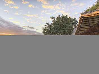 Lion Camp: Liegen am Swimmingpool