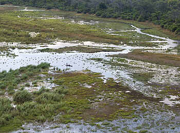 Atzaro Okavango Camp: Mokoro-Fahrt