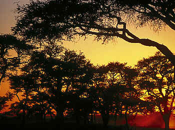 Kalahari Farmhouse: Sonnenuntergang Kalahari Farmhouse: Sonnenuntergang