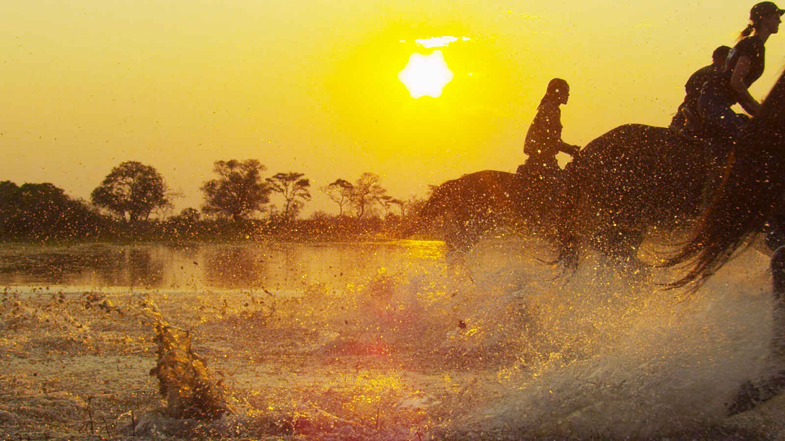 Kujwana Camp: Wasser-Galopp im Sonnenuntergang Kujwana Camp: Wasser-Galopp im Sonnenuntergang