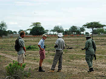 Lake Manze Camp: Antilopen Lake Manze Camp: Antilopen