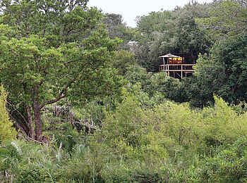 Londolozi Tree Camp: Das Camp aus der Ferne