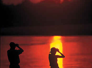 Robin Pope Safaris: Auf der Suche nach Fledermausaar