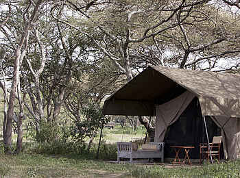 Serian's Serengeti South Camp: Safari Tent Ansicht